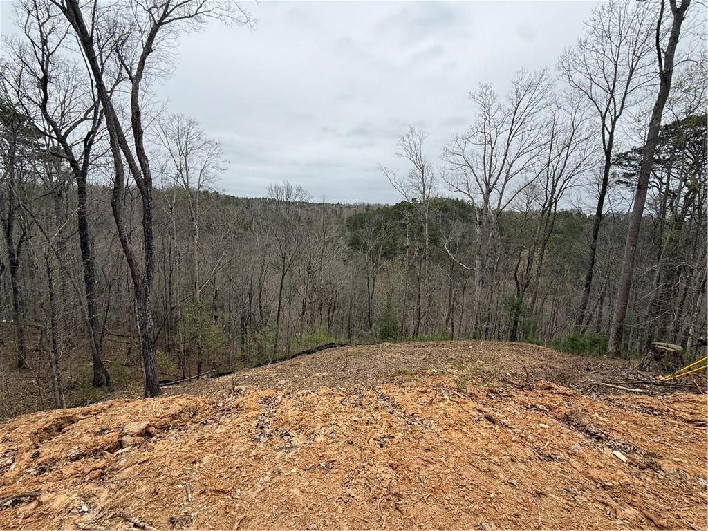 135 Flat Ridge Rd., Ellijay, GA 30540
