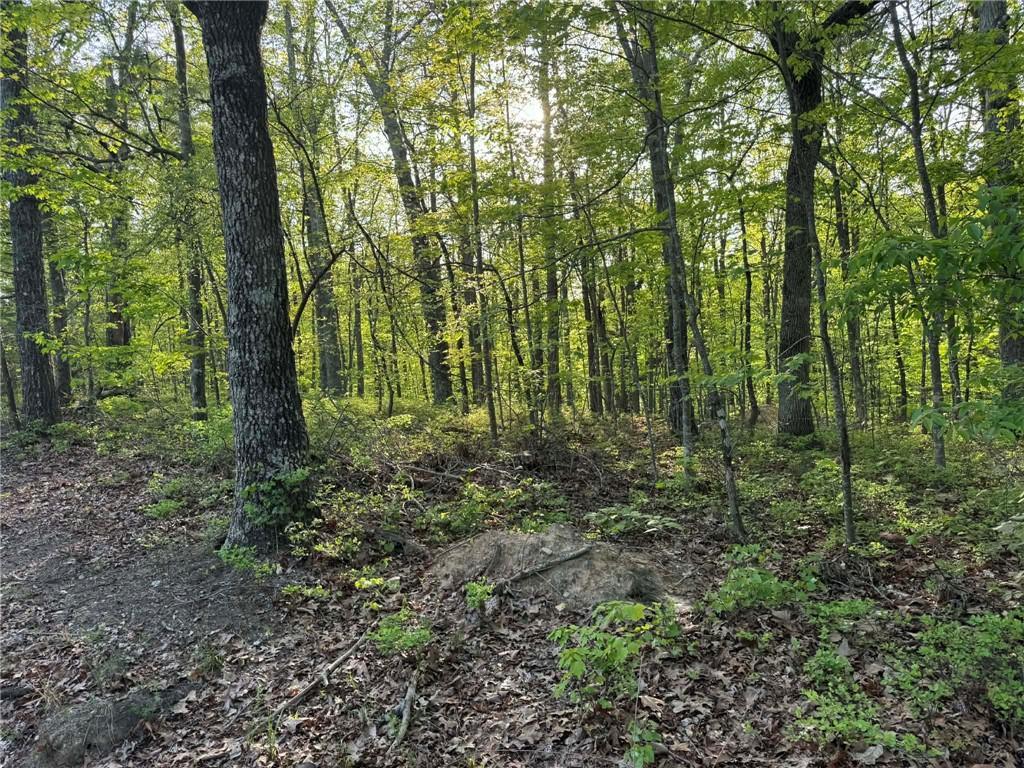 1440 Hanna Dr., Ranger, GA 30734