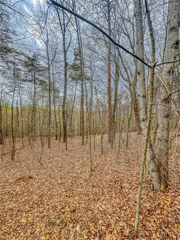 141 Green Meadows, Dahlonega, GA 30533