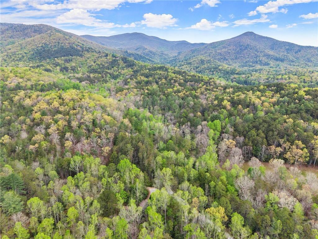 S Fern Cove Rd., Sautee Nacoochee, GA 30571