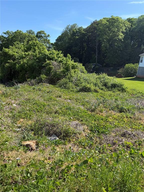 517 Mount Crest Drive, Gainesville, GA 30501