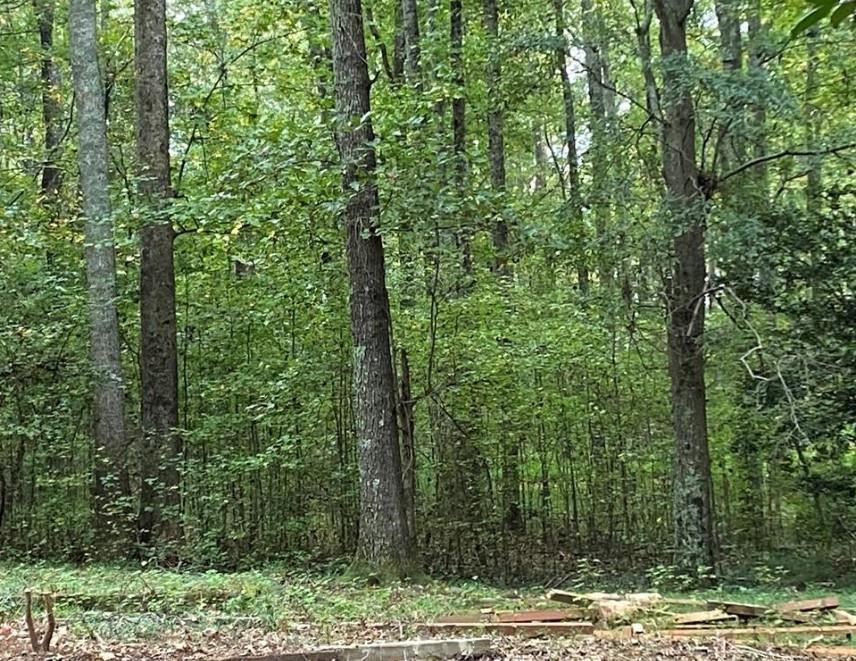 2247 Holly Ct., Cumming, GA 30041