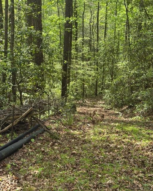 348 Hemlock Tr., Ellijay, GA 30540