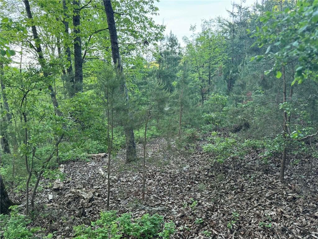 1181 Jewel Ct., Ranger, GA 30734