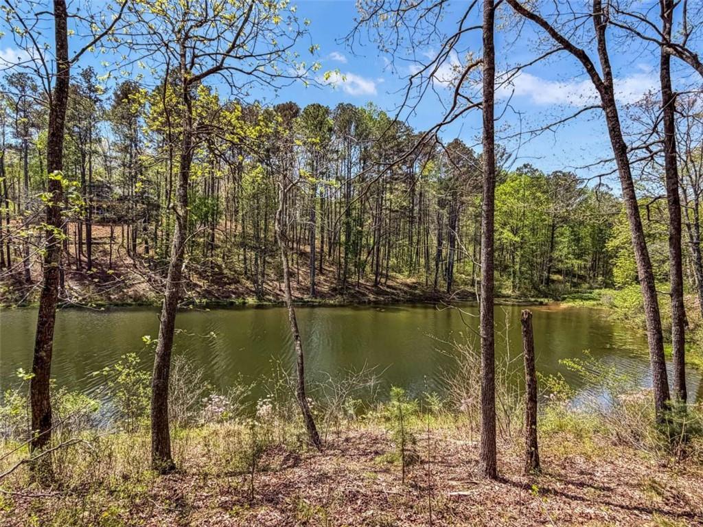 Overlook Way, Ellijay, GA 30536