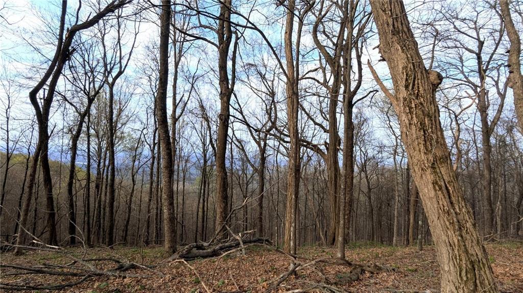 7188 Ridgeview Dr., Big Canoe, GA 30143