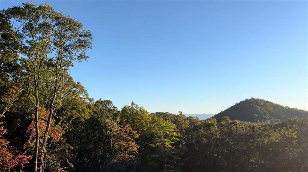 600 Kittatinny Dr., Mineral Bluff, GA 30559