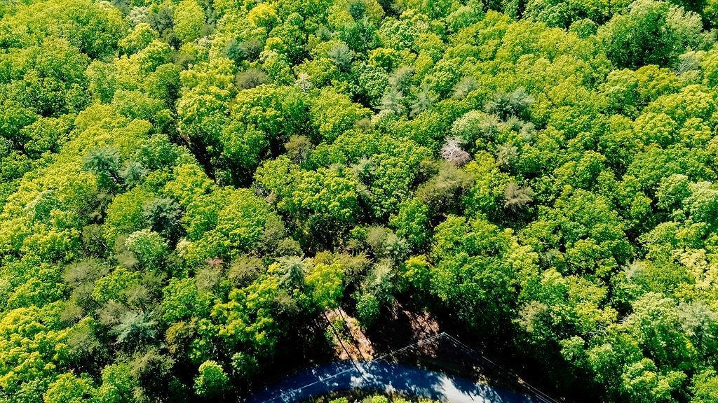 19 Amicalola Dr., Dawsonville, GA 30534