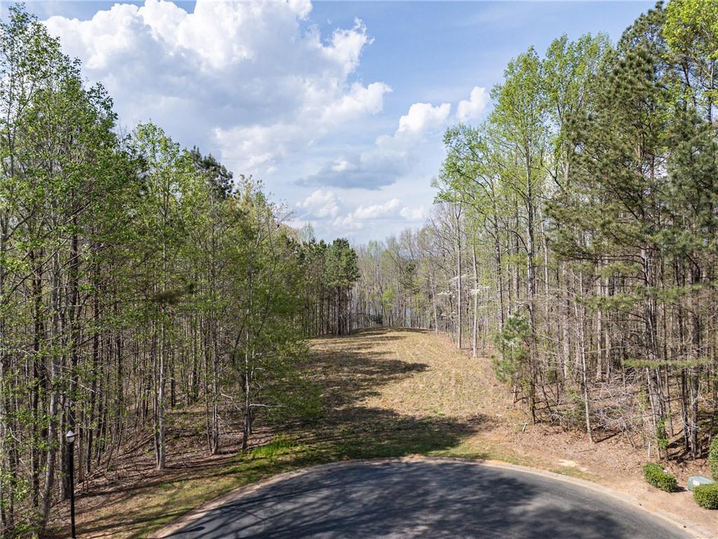 1005 Overlook Terrace Lot 53, Ball Ground, GA 30107