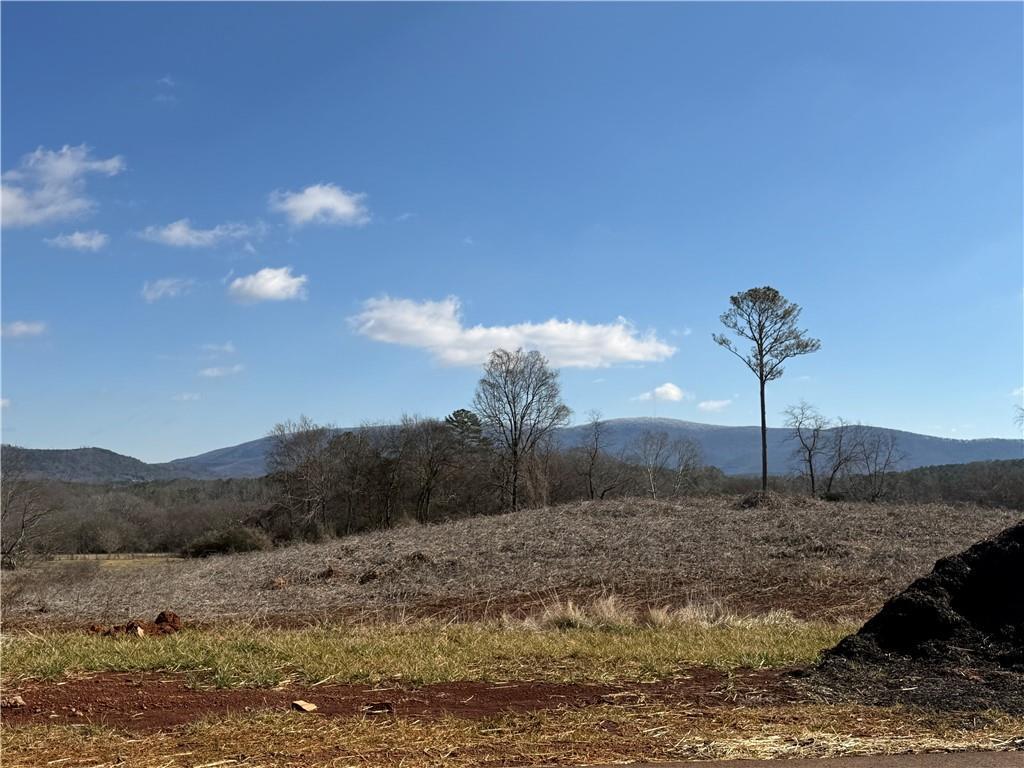 110 Palisade Dr., Rydal, GA 30171