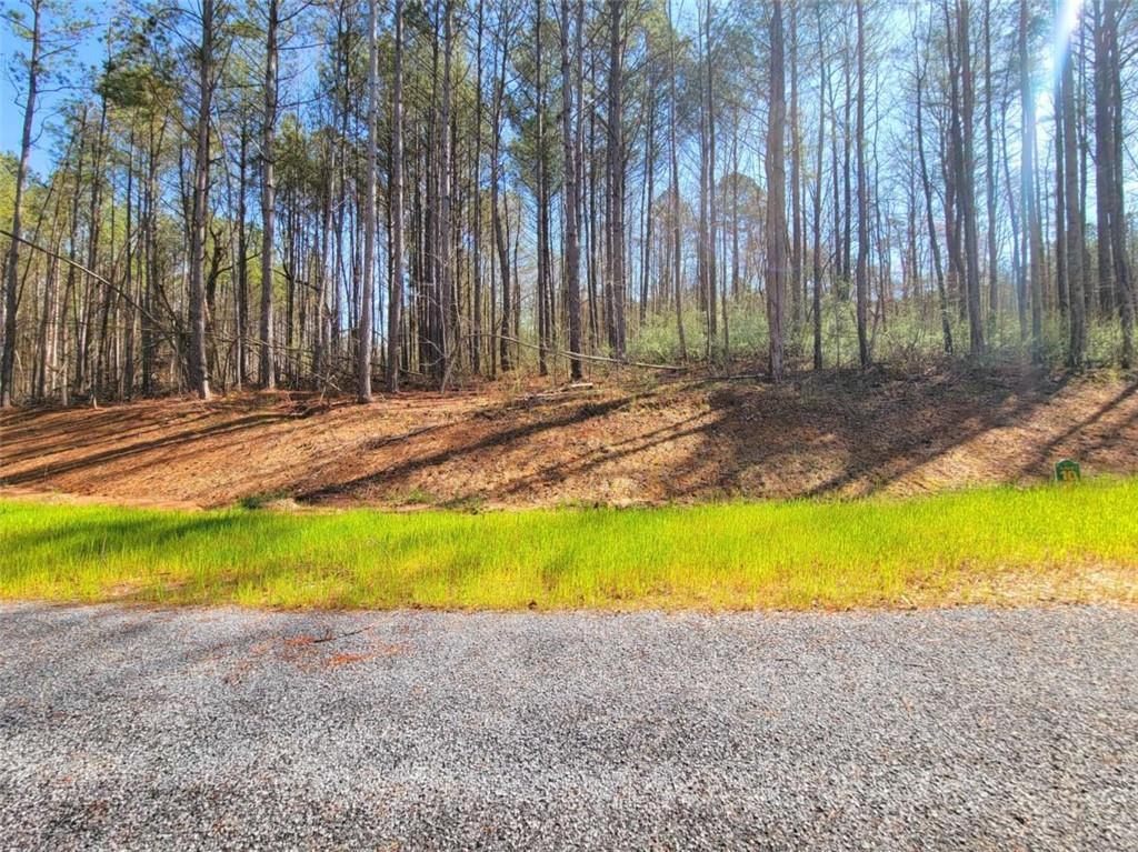 68 Mountaingate Way, Ellijay, GA 30536