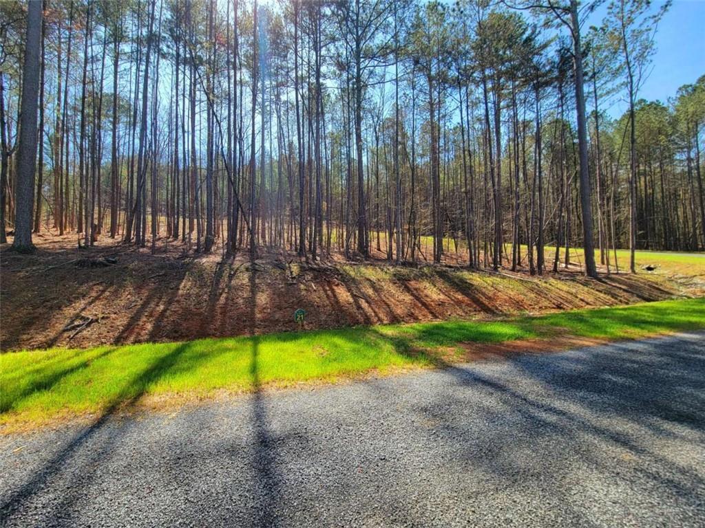 277 Mountaingate Way, Ellijay, GA 30536