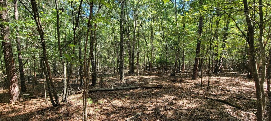 5 Ripplewood Tr., Euharlee, GA 30145