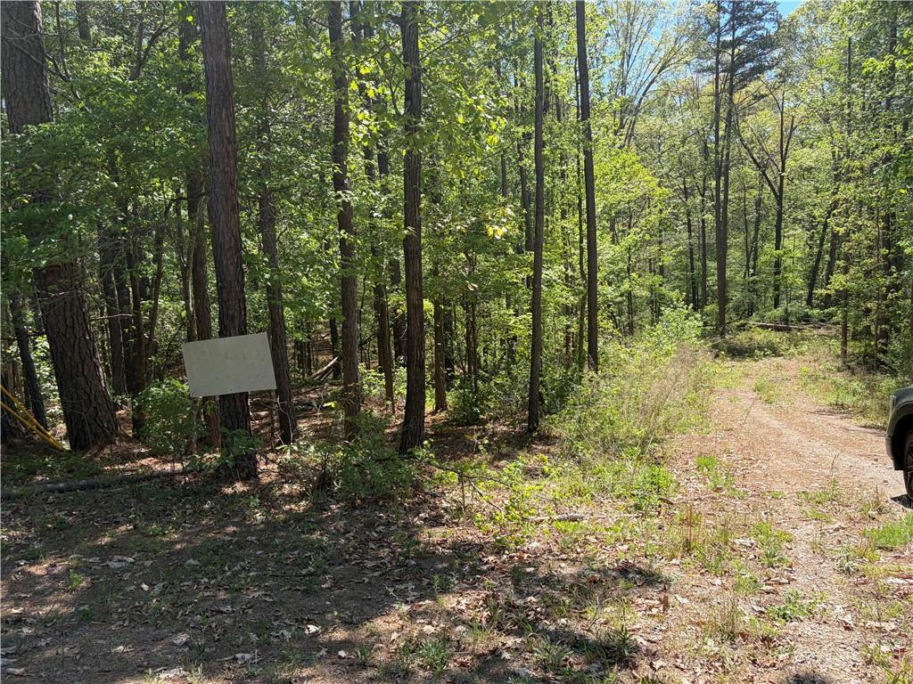 Gore Lakes Rd., Dallas, GA 30132
