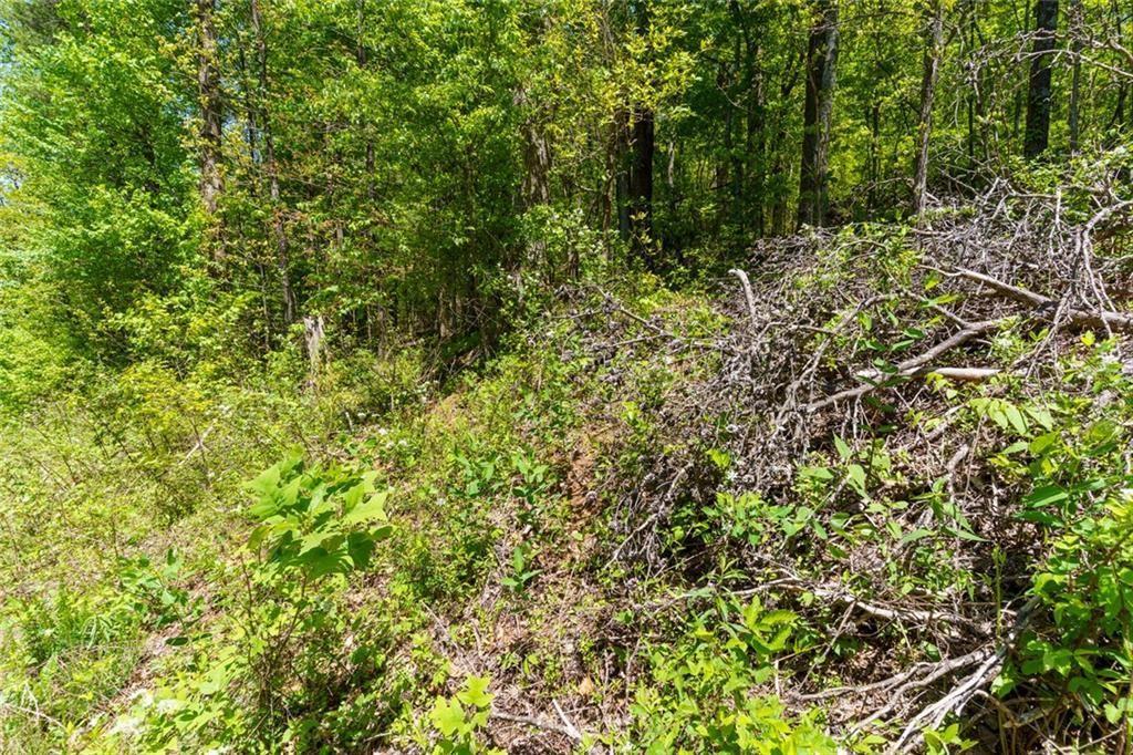 7 Fire Tower Rd., Jasper, GA 30143
