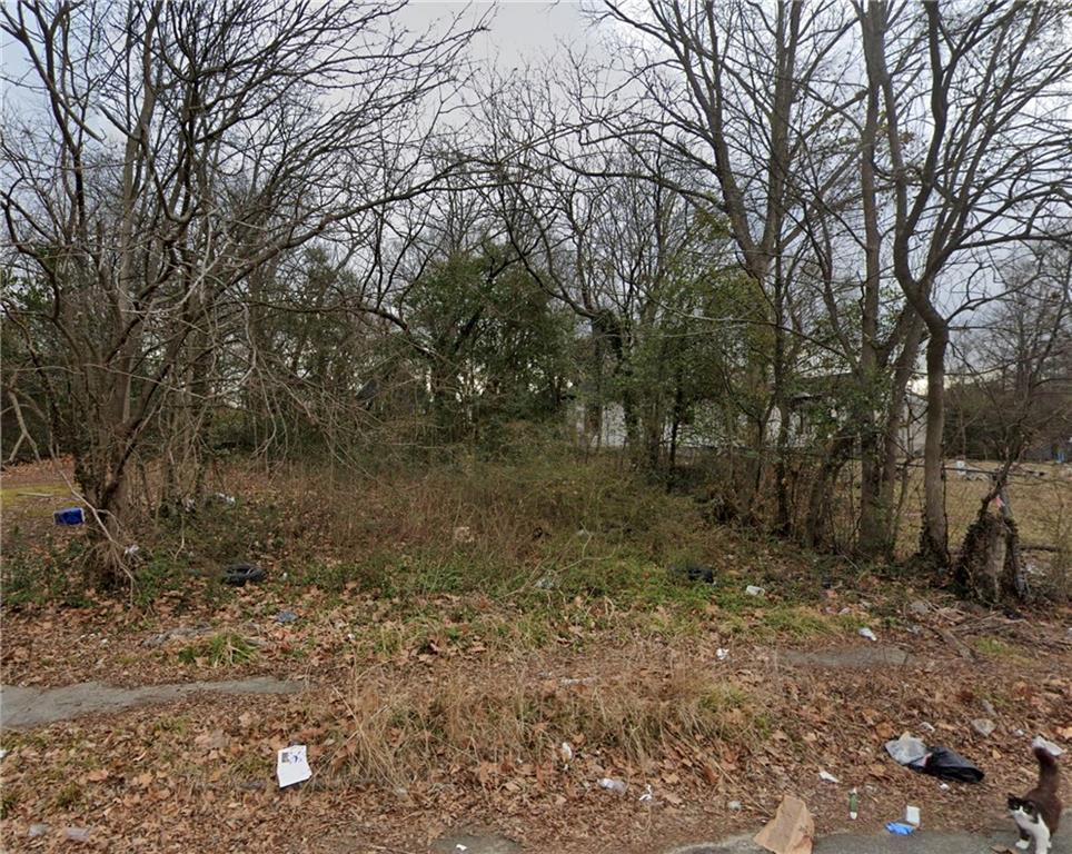 509 Paines Ave., Atlanta, GA 30318