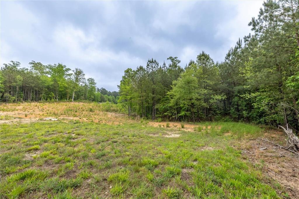 51 Paul Harris Rd., Dallas, GA 30157