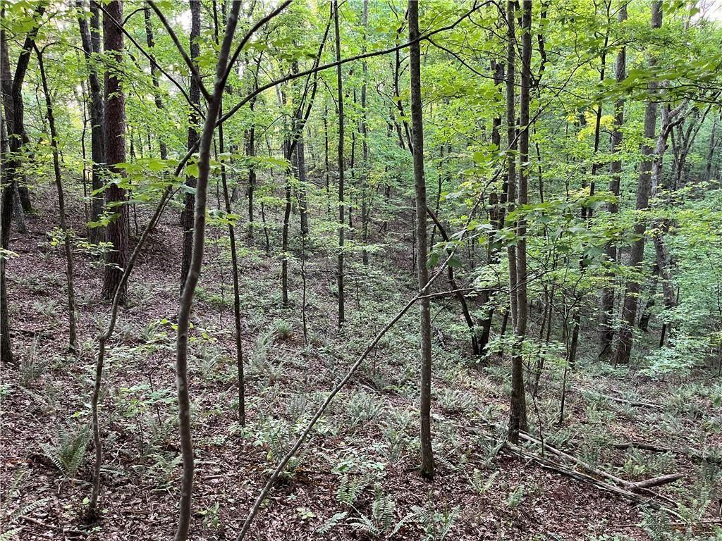 1720 Rebekah Ridge Rd., Talking Rock, GA 30175