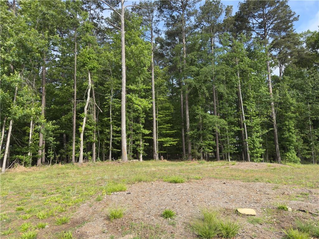 2469 Rock Springs Rd., Buford, GA 30519