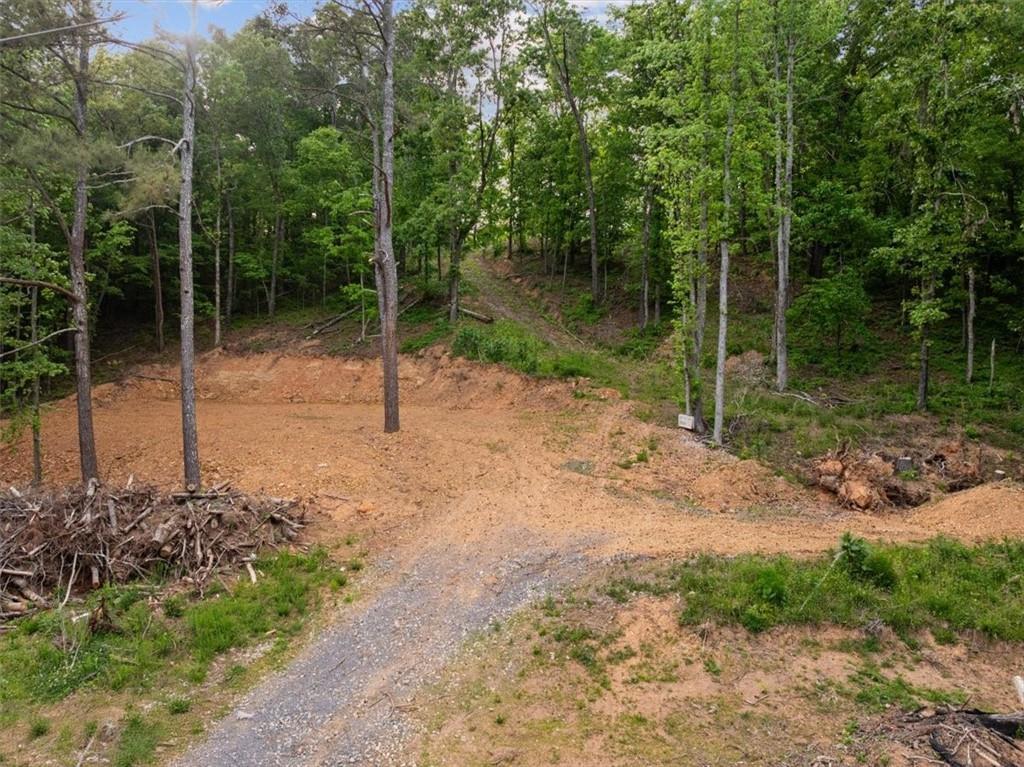 307 Moores Ferry Rd., Plainville, GA 30733