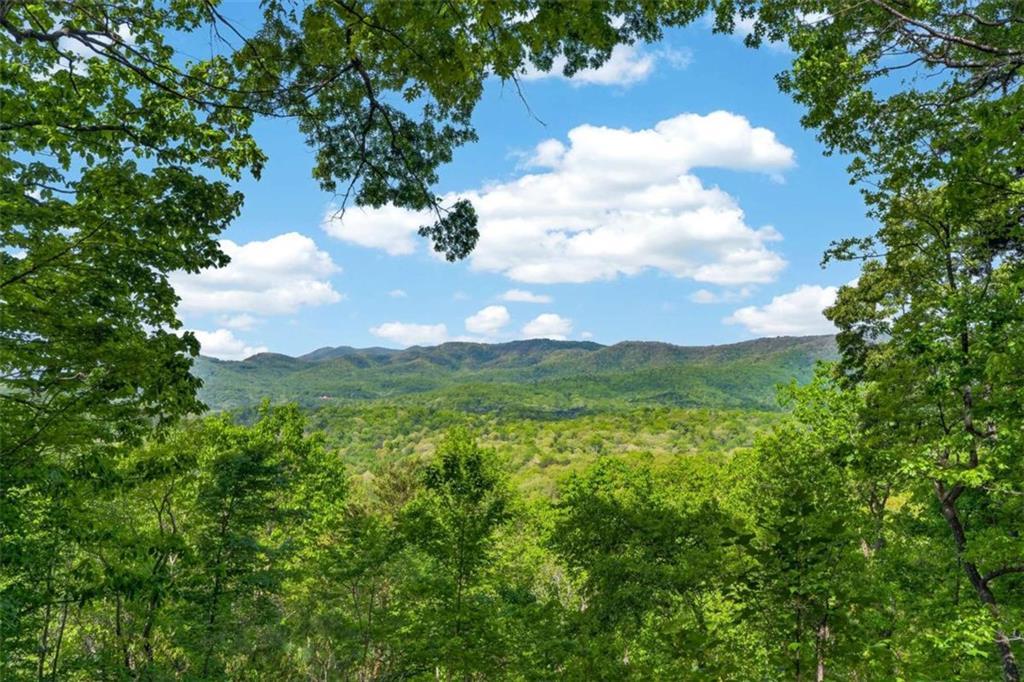 532 Cohutta Mountain Rd., Blue Ridge, GA 30513