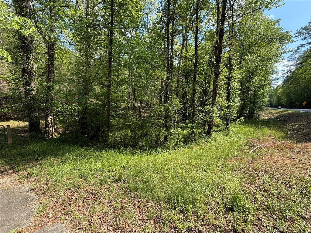 00 Highway 19, Dahlonega, GA 30533