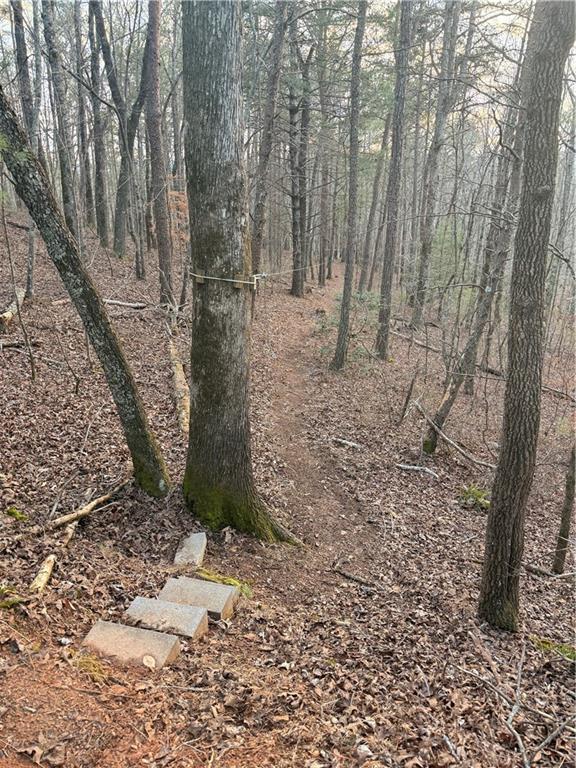 Shady Grove Church Rd., Talking Rock, GA 30175