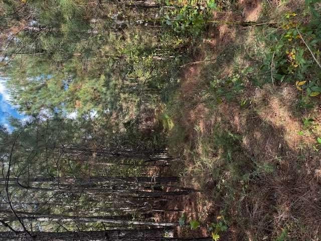 230 Dodgen Rd., Hampton, GA 30228