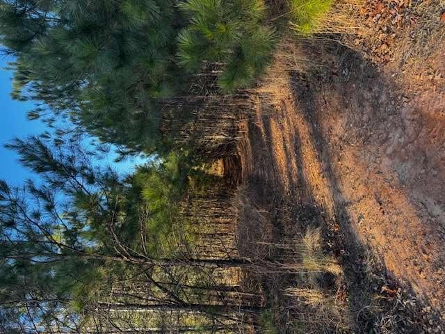 28.59 Belford Way, Jackson, GA 30233