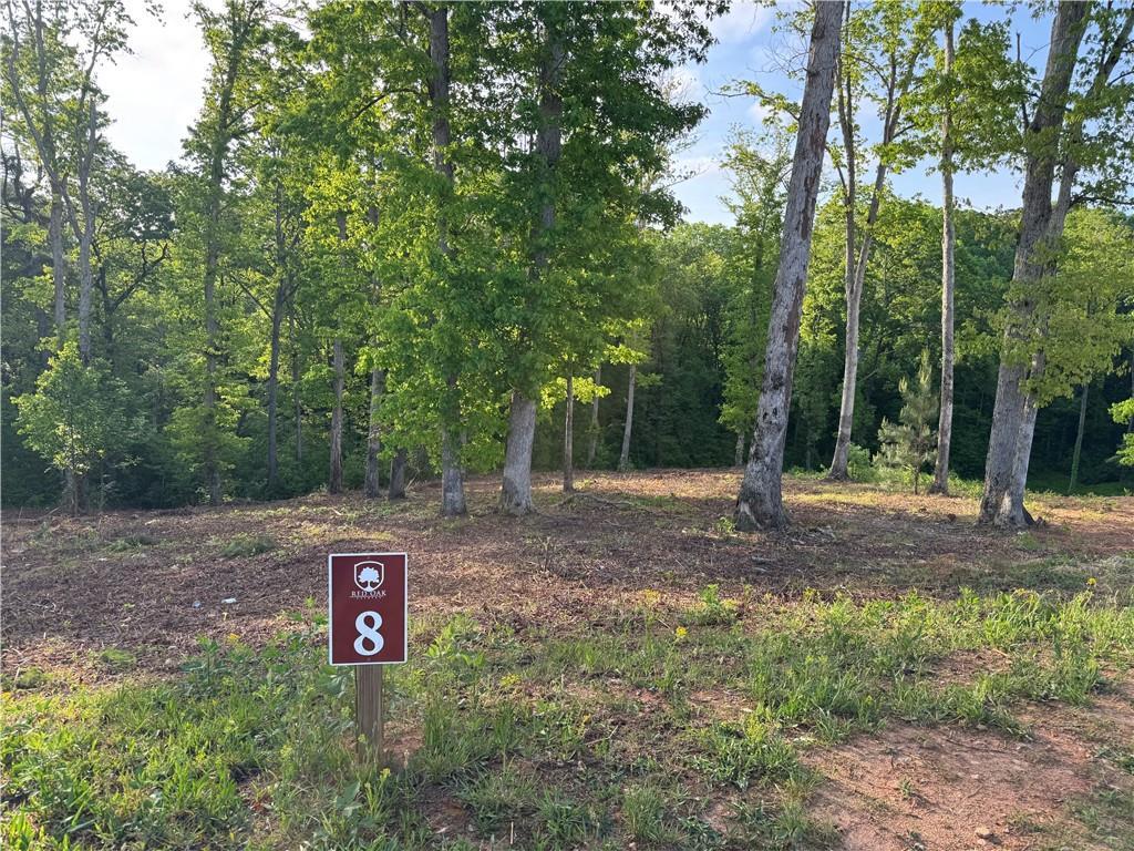 008 Mystic Dr., Ellijay, GA 30540