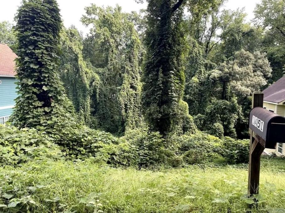 1451 Andrews St., Atlanta, GA 30314