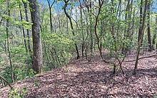 761 Clayton Gooch Rd., Dahlonega, GA 30533