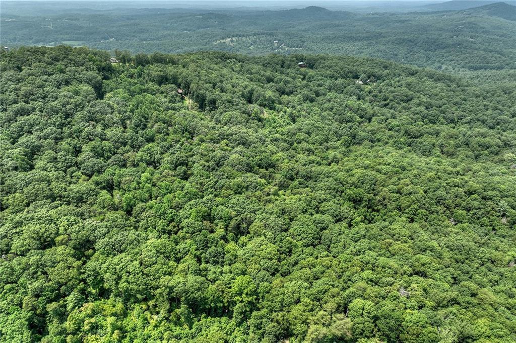 7.89 Ac Laurel Springs Rd., Mineral Bluff, GA 30559