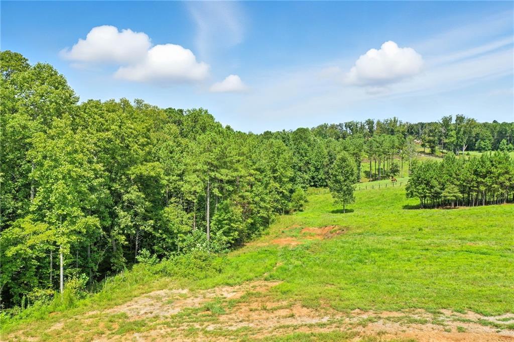 3511 Reavis Mountain #2 Rd., Ball Ground, GA 30107