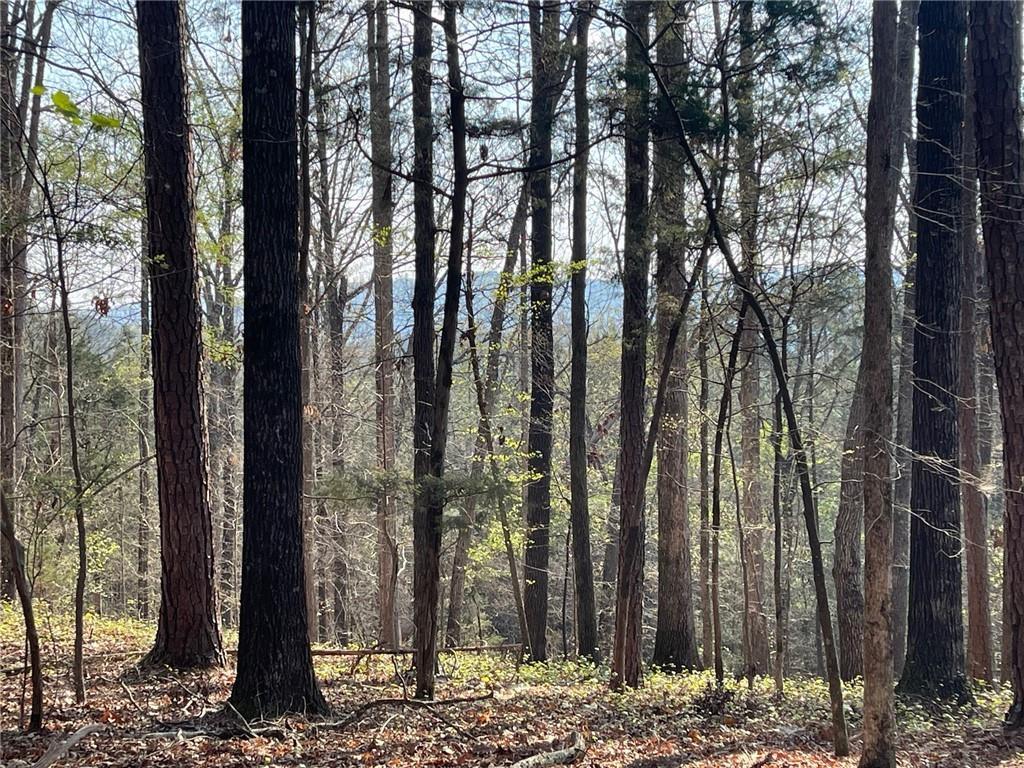 Lot 12 Chalcrest Way, Cave Spring, GA 30124