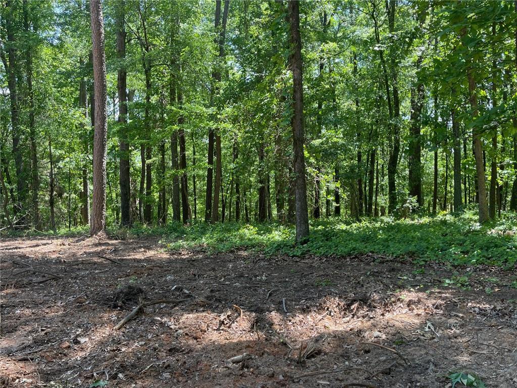 Lot 13 Chalcrest Way, Cave Spring, GA 30124