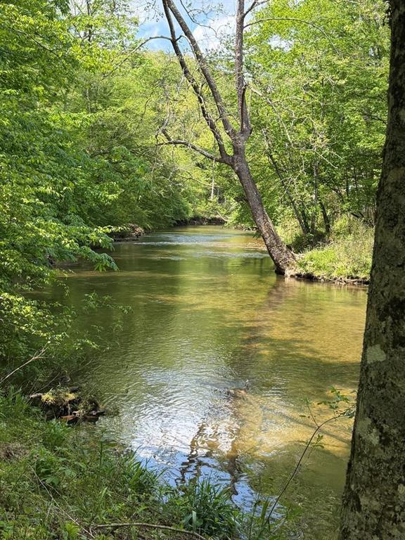 9.8 AC Brown Mountain Rd., Suches, GA 30572