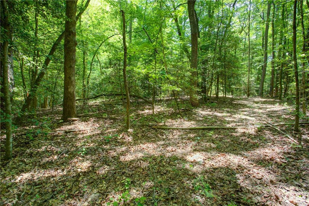 Hwy 136 (3.12 Acres), Dawsonville, GA 30534