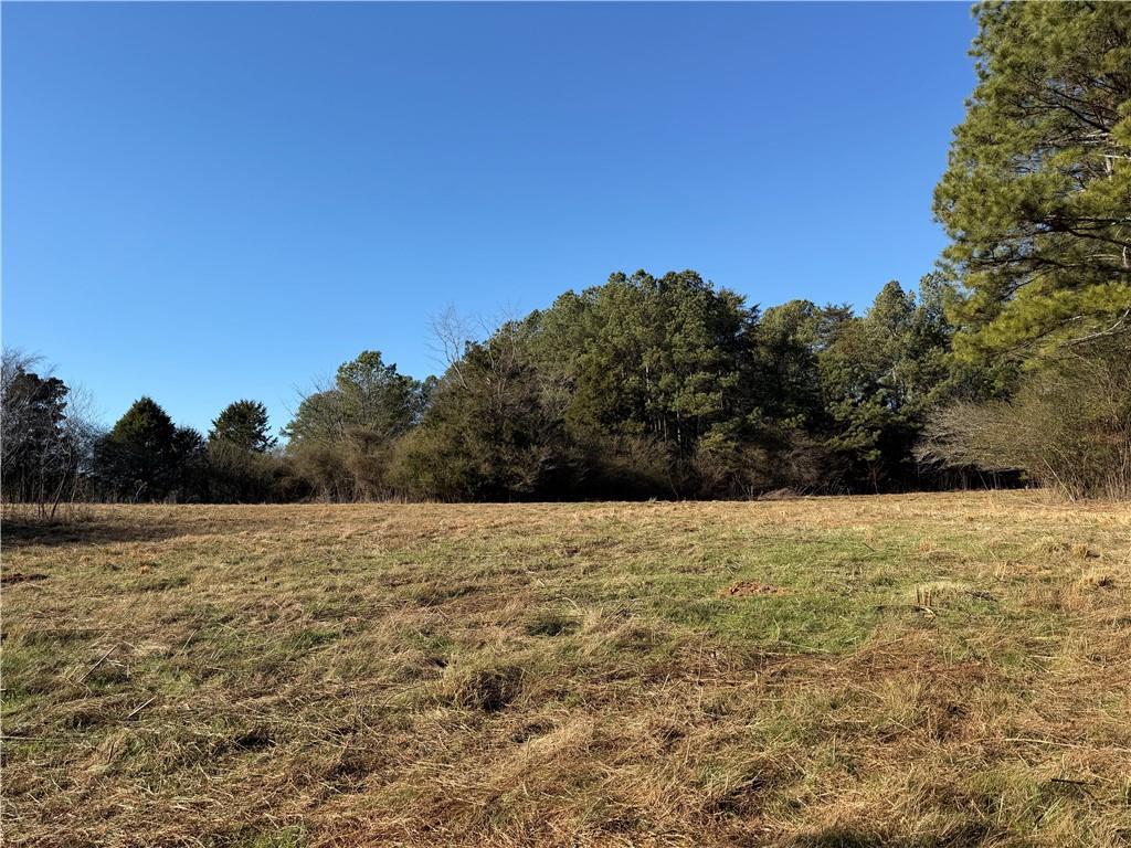 000000 Liberty Church Rd., Ranger, GA 30734