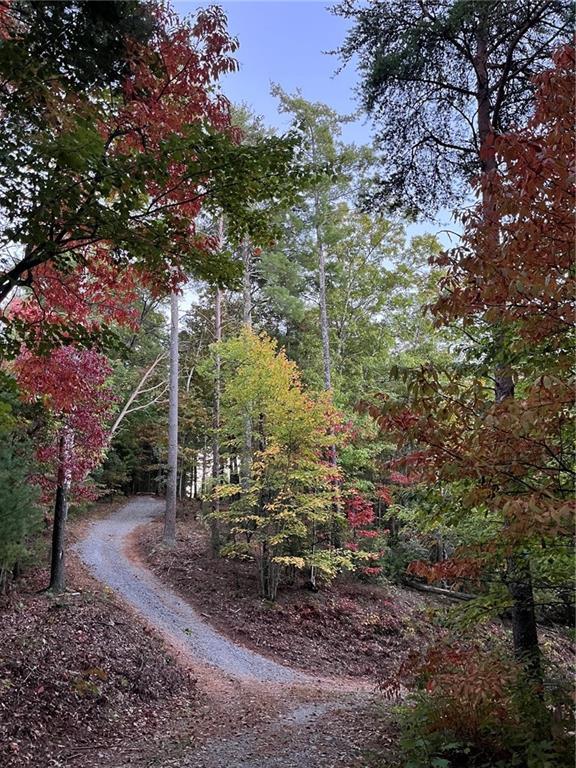 Pleasant Hill Tr., Ellijay, GA 30540