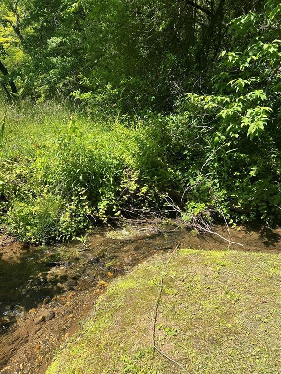 Sunrise Valley Rd., Blue Ridge, GA 30513