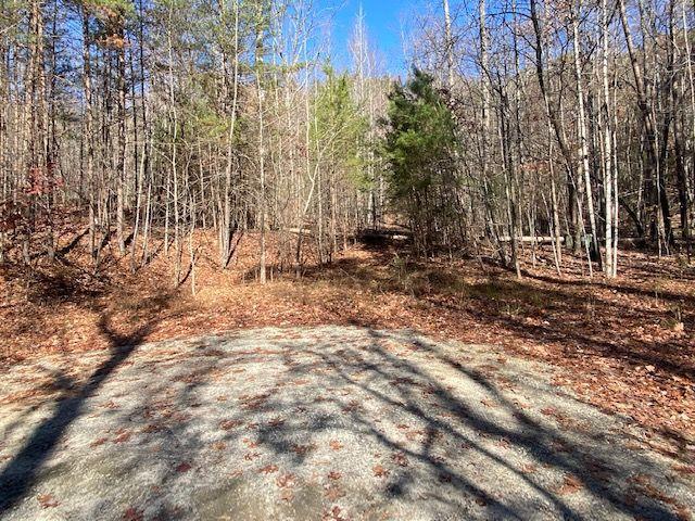 8 Cameron Point, Cleveland, GA 30528