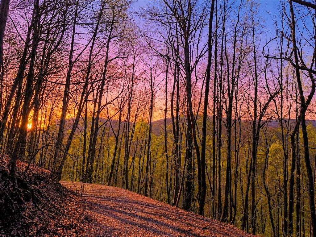 29 AC Hidden Valley Dr., Ellijay, GA 30536