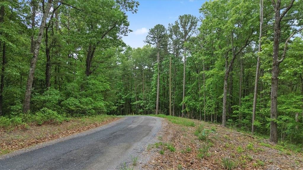 1563 Dover Cir., Ranger, GA 30734