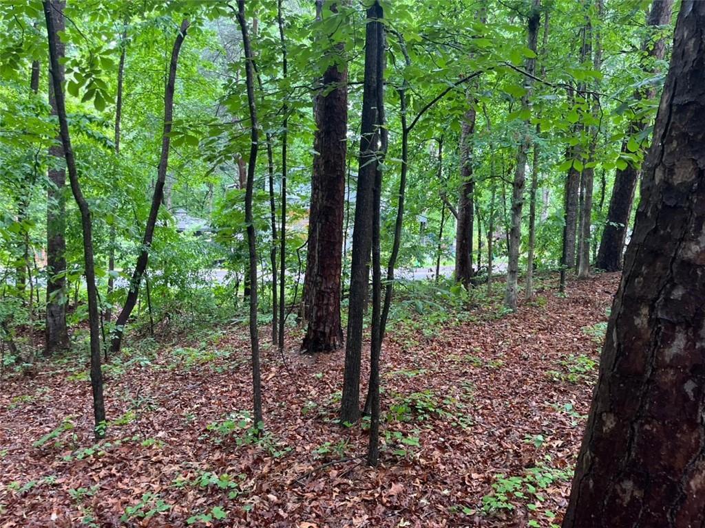 Lake Club Dr., Lavonia, GA 30553