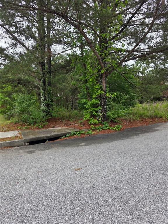 6372 Flat Rock Ln., Atlanta, GA 30349