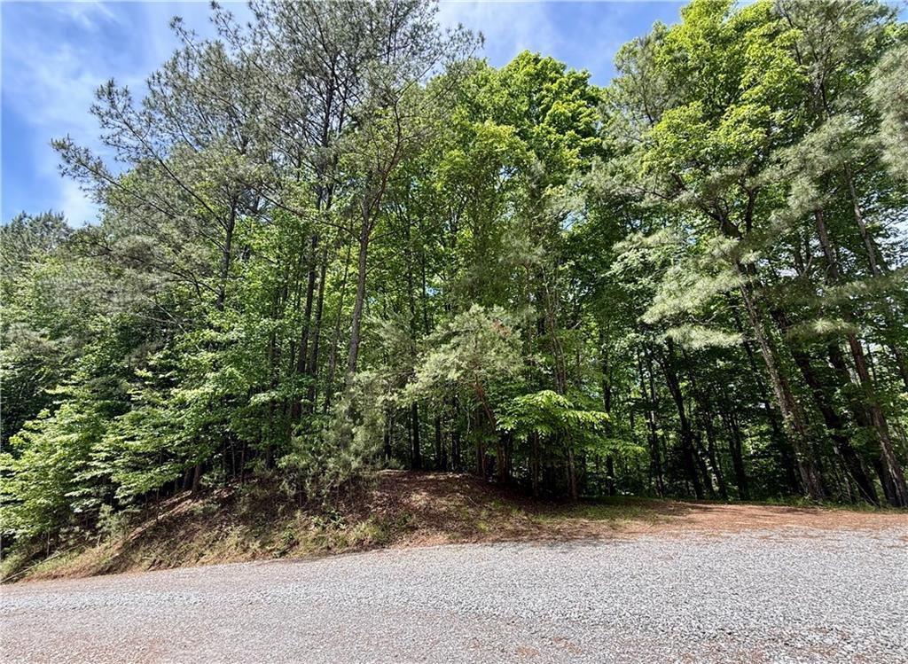 Nectar Ln., Ellijay, GA 30540
