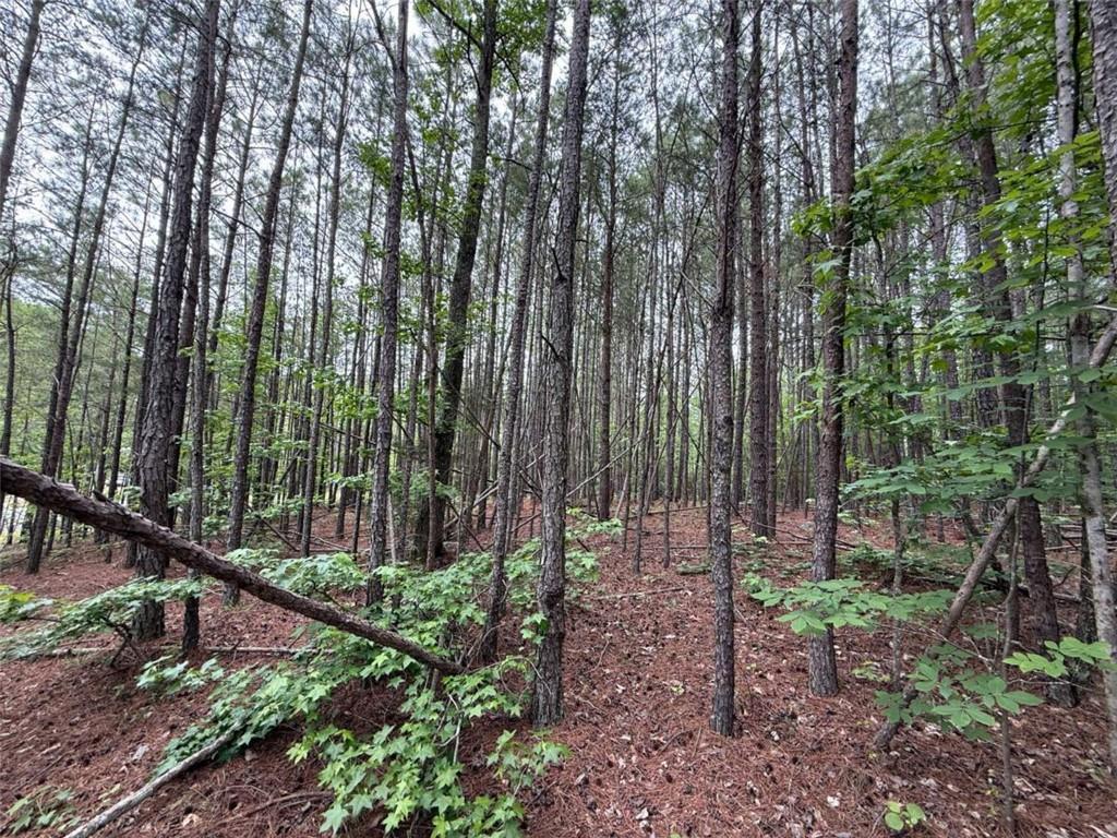 Natures Walk Dr., Rome, GA 30165