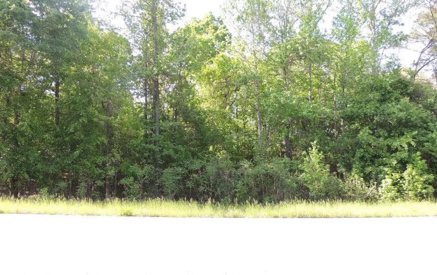 Causey Rd, Knoxville, GA 31050