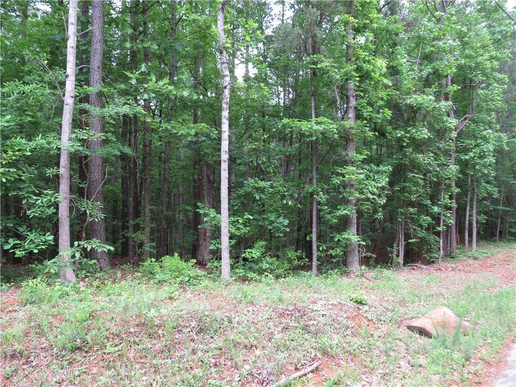 Doke Cohran Rd., Dallas, GA 30157